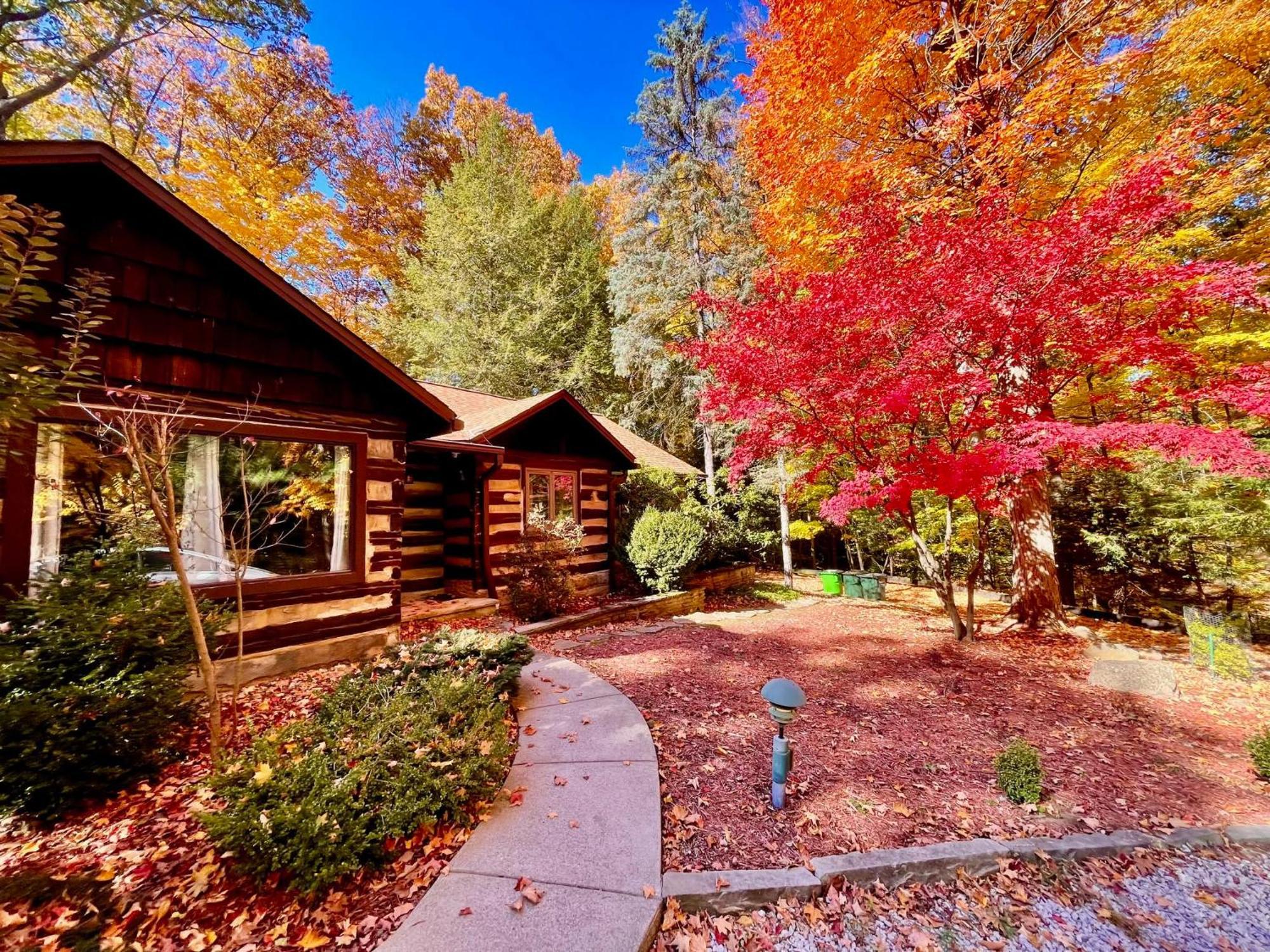 Log Cabin - Natures Oasis - Fire Pit & Gazebo 클리블랜드 외부 사진