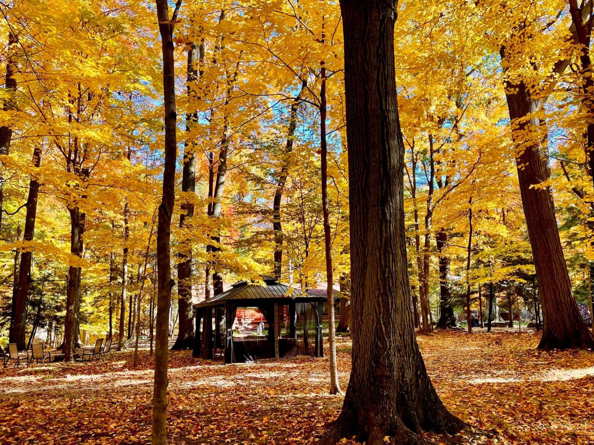 Log Cabin - Natures Oasis - Fire Pit & Gazebo 클리블랜드 외부 사진